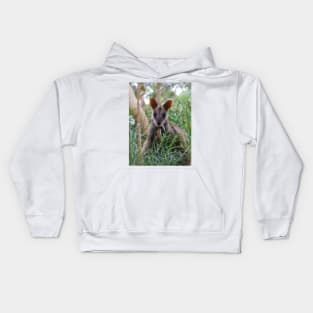 Brush-tailed Rock Wallaby Kids Hoodie